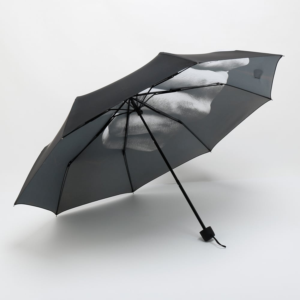 Lustiger Mittelfinger-Regenschirm