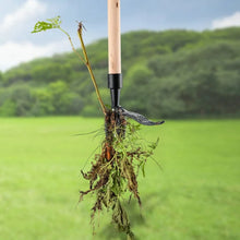 Laden Sie das Bild in den Galerie-Viewer, 🌱Neuer abnehmbarer Unkrautstecher🌱