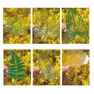 🌈PVC Bunte Adsorptionsregenbogenglasfensteraufkleber, 6 pcs🪐