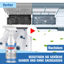 Laden Sie das Bild in den Galerie-Viewer, Desodorierender entkalkender Reiniger für Klimaanlagen
