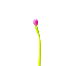 Laden Sie das Bild in den Galerie-Viewer, Farbwechsel Tulip Kugelschreiber