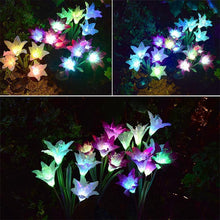 Laden Sie das Bild in den Galerie-Viewer, Solarbetriebene LED-Blume, Solar Garten  Stake Lichter
