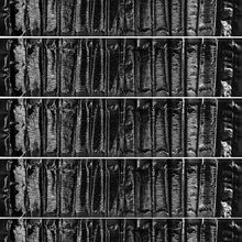 Laden Sie das Bild in den Galerie-Viewer, Sinnliche Mausefalle