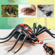 Laden Sie das Bild in den Galerie-Viewer, Elektrisches Insektenspielzeug mit Fernbedienung