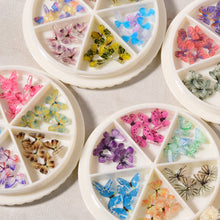 Laden Sie das Bild in den Galerie-Viewer, Nail Art Miniatur-Schmetterling