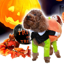 Laden Sie das Bild in den Galerie-Viewer, 🎃Süße Kürbiskleidung für Haustiere🎃