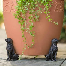 Laden Sie das Bild in den Galerie-Viewer, Niedliche Töpfchenfüße in Tierform
