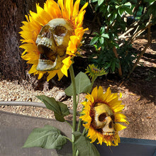 Laden Sie das Bild in den Galerie-Viewer, Sonnenblumenschädel Halloween Dekoration