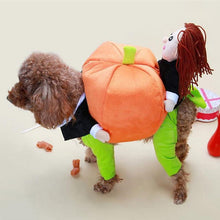 Laden Sie das Bild in den Galerie-Viewer, 🎃Süße Kürbiskleidung für Haustiere🎃
