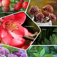 Laden Sie das Bild in den Galerie-Viewer, Garten-Universaldünger mit langsamer Freisetzung in Tablettenform