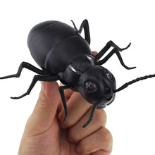 Laden Sie das Bild in den Galerie-Viewer, Elektrisches Insektenspielzeug mit Fernbedienung