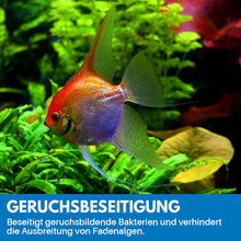Laden Sie das Bild in den Galerie-Viewer, Reinigungspulver Für Aquarium