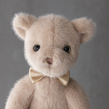Laden Sie das Bild in den Galerie-Viewer, 🧸Niedlicher bekleideter Plüschpuppenbär❤️