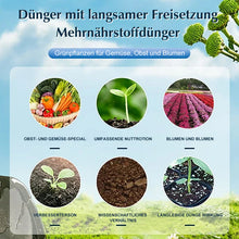 Laden Sie das Bild in den Galerie-Viewer, Garten-Universaldünger mit langsamer Freisetzung in Tablettenform