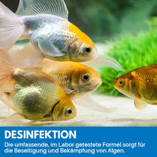 Laden Sie das Bild in den Galerie-Viewer, Reinigungspulver Für Aquarium