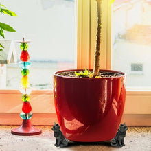 Laden Sie das Bild in den Galerie-Viewer, Niedliche Töpfchenfüße in Tierform