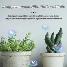 Laden Sie das Bild in den Galerie-Viewer, Garten-Universaldünger mit langsamer Freisetzung in Tablettenform
