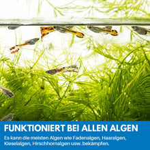 Laden Sie das Bild in den Galerie-Viewer, Reinigungspulver Für Aquarium