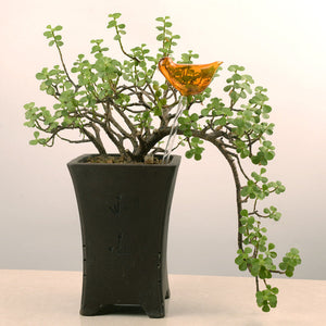 Automatisches Bewässerungsgerät aus Glas in Vogelform