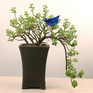Automatisches Bewässerungsgerät aus Glas in Vogelform