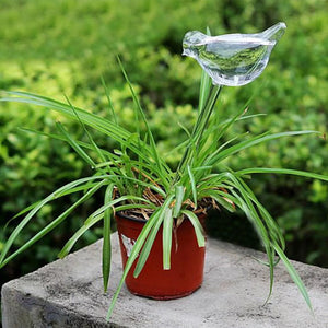 Automatisches Bewässerungsgerät aus Glas in Vogelform