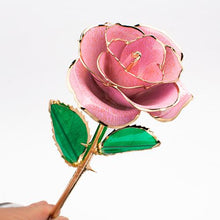Laden Sie das Bild in den Galerie-Viewer, Blüte Ewige 24K Gold Rose