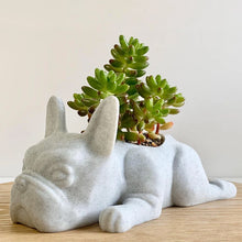 Laden Sie das Bild in den Galerie-Viewer, Gartenstatue Aus Kunstharz Für Den Außenbereich